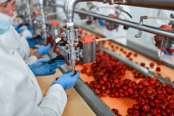 Worker In Factory Using Machine To Fill Cherry Peppers With Cheese